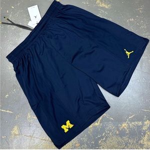 Air Jordan Michigan Wolverines Training Shorts Large NCAA DD5600-419 Nike